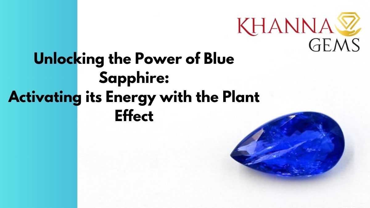 Unlocking the Power of Blue Sapphire: Activating its Energy with the Plant Effect