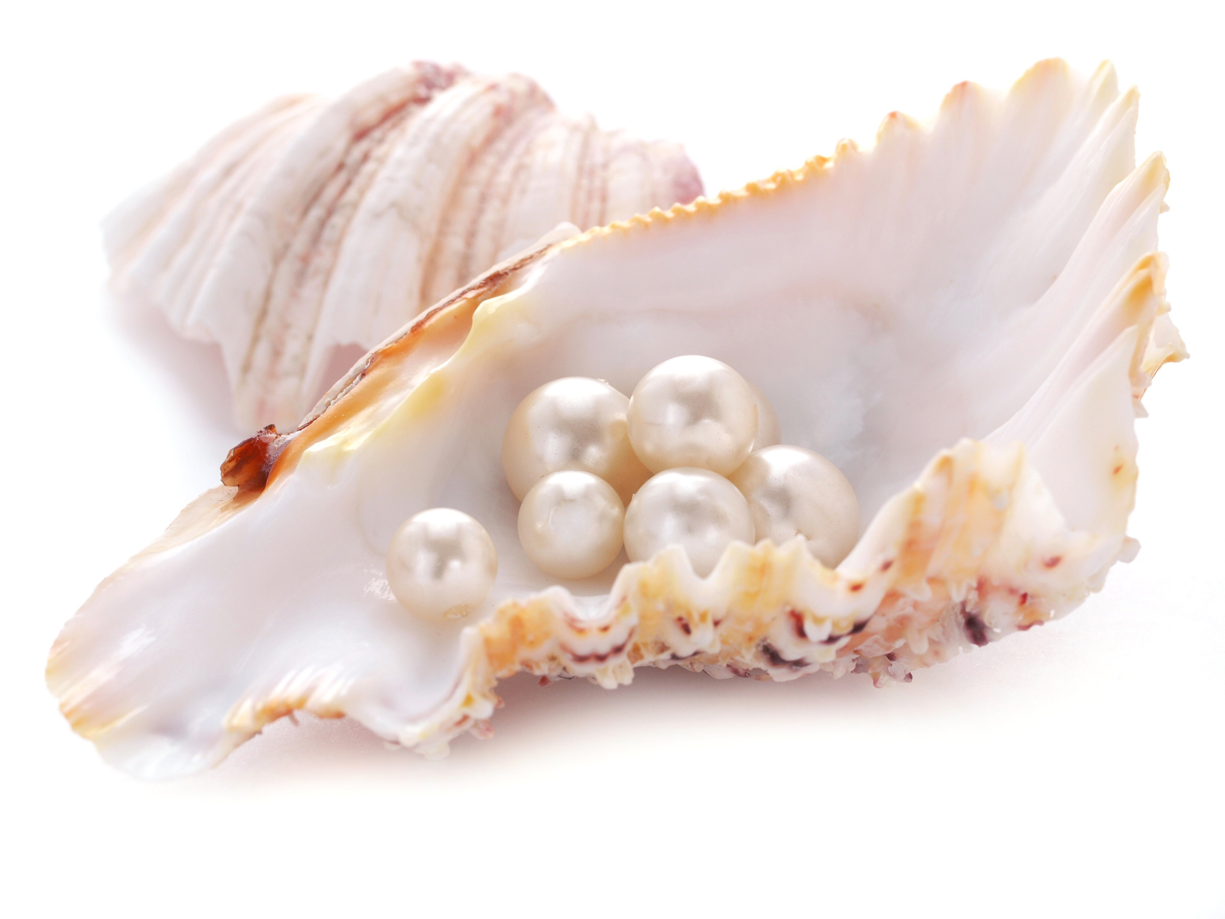 Freshwater Pearls, what are they, and how are they different