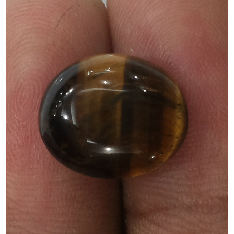 Tiger Eye