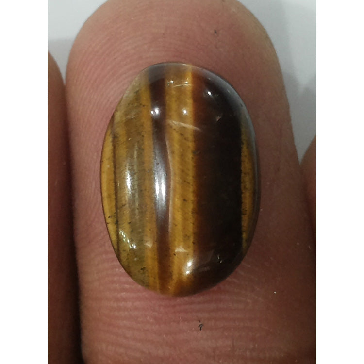 Tiger Eye