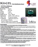 Load image into Gallery viewer, 8.97/CT Natural Panna Stone With Govt. Lab Certificate  (4551)
