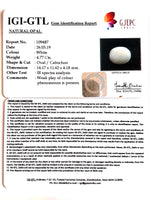 Load image into Gallery viewer, 5.30 Ratti  Natural fire Opal with Govt. Lab Certificate-(1221)
