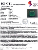 Load image into Gallery viewer, 13.38/CT Natural Emerald with Govt Lab Certificate (6771)
