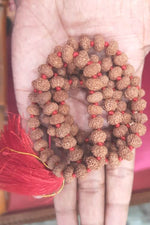 Load image into Gallery viewer, TEN MUKHI RUDRAKSHA MALA (3400)
