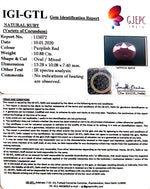 Load image into Gallery viewer, 12.09 Ratti Natural Indian Ruby with Govt. Lab Certificate-(1221)
