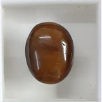 Load image into Gallery viewer, Tiger Eye-(350)
