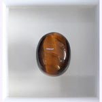 Load image into Gallery viewer, Tiger Eye-(350)
