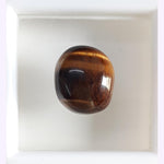 Load image into Gallery viewer, Tiger Eye-(350)
