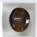 Load image into Gallery viewer, Tiger Eye-(350)
