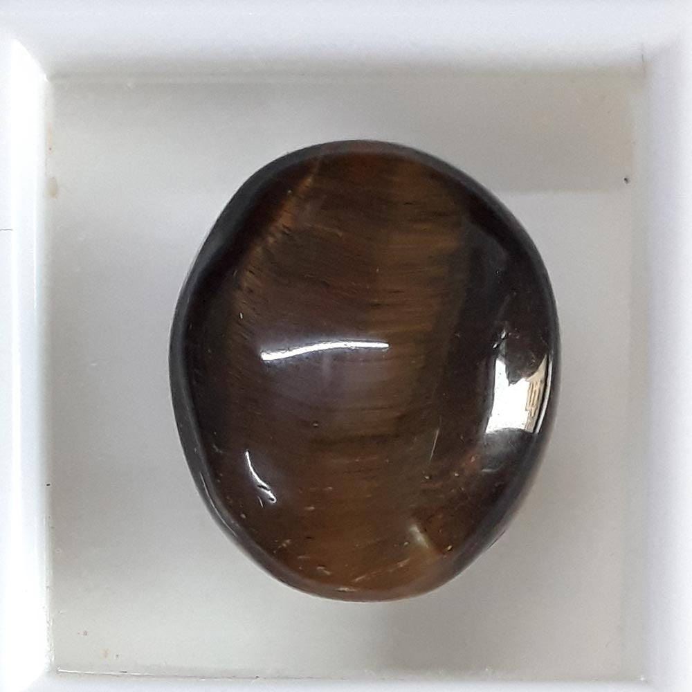 Tiger Eye-(350)