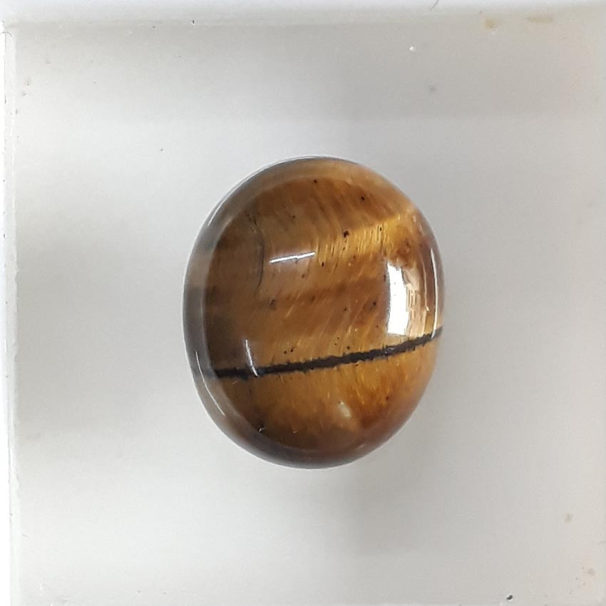 Tiger Eye-(350)