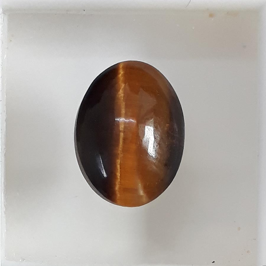 Tiger Eye-(350)