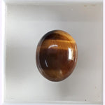 Load image into Gallery viewer, Tiger Eye-(350)
