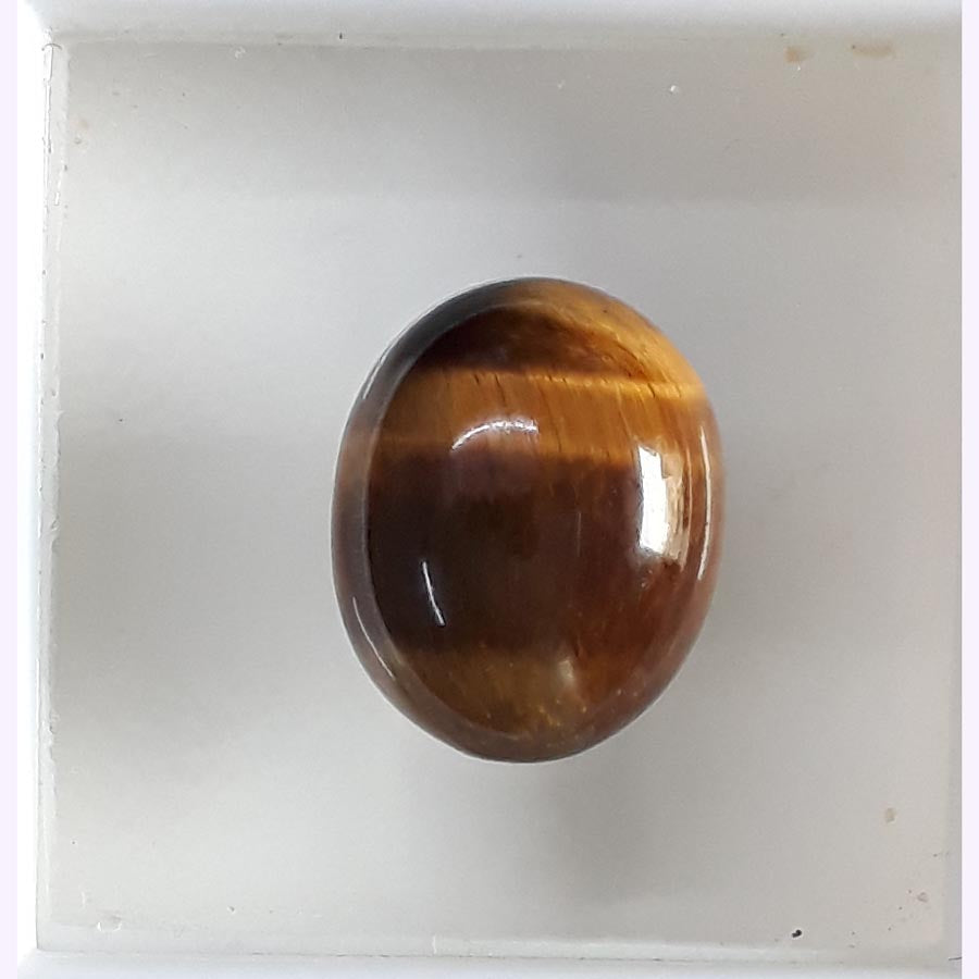 Tiger Eye-(350)