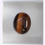 Load image into Gallery viewer, Tiger Eye-(350)
