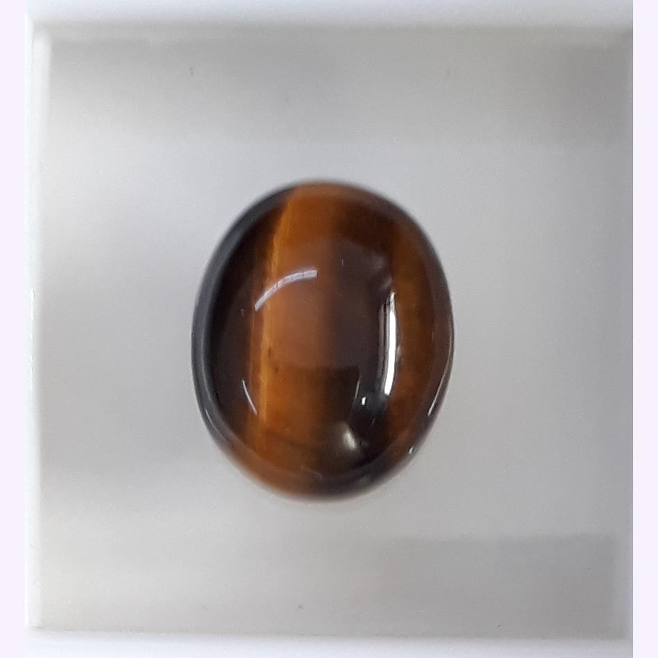 Tiger Eye-(350)