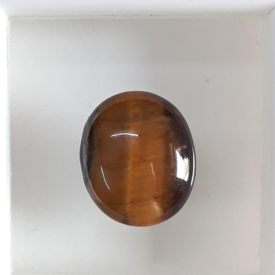 Tiger Eye-(350)