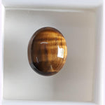 Load image into Gallery viewer, Tiger Eye-(350)
