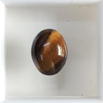 Load image into Gallery viewer, Tiger Eye-(350)
