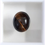 Load image into Gallery viewer, Tiger Eye-(350)
