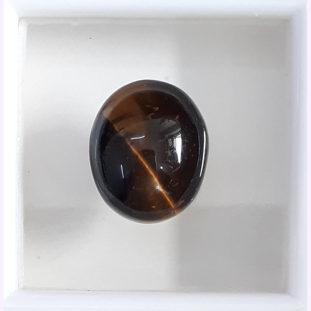 Tiger Eye-(350)