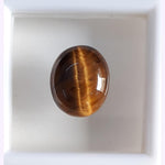 Load image into Gallery viewer, Tiger Eye-(350)
