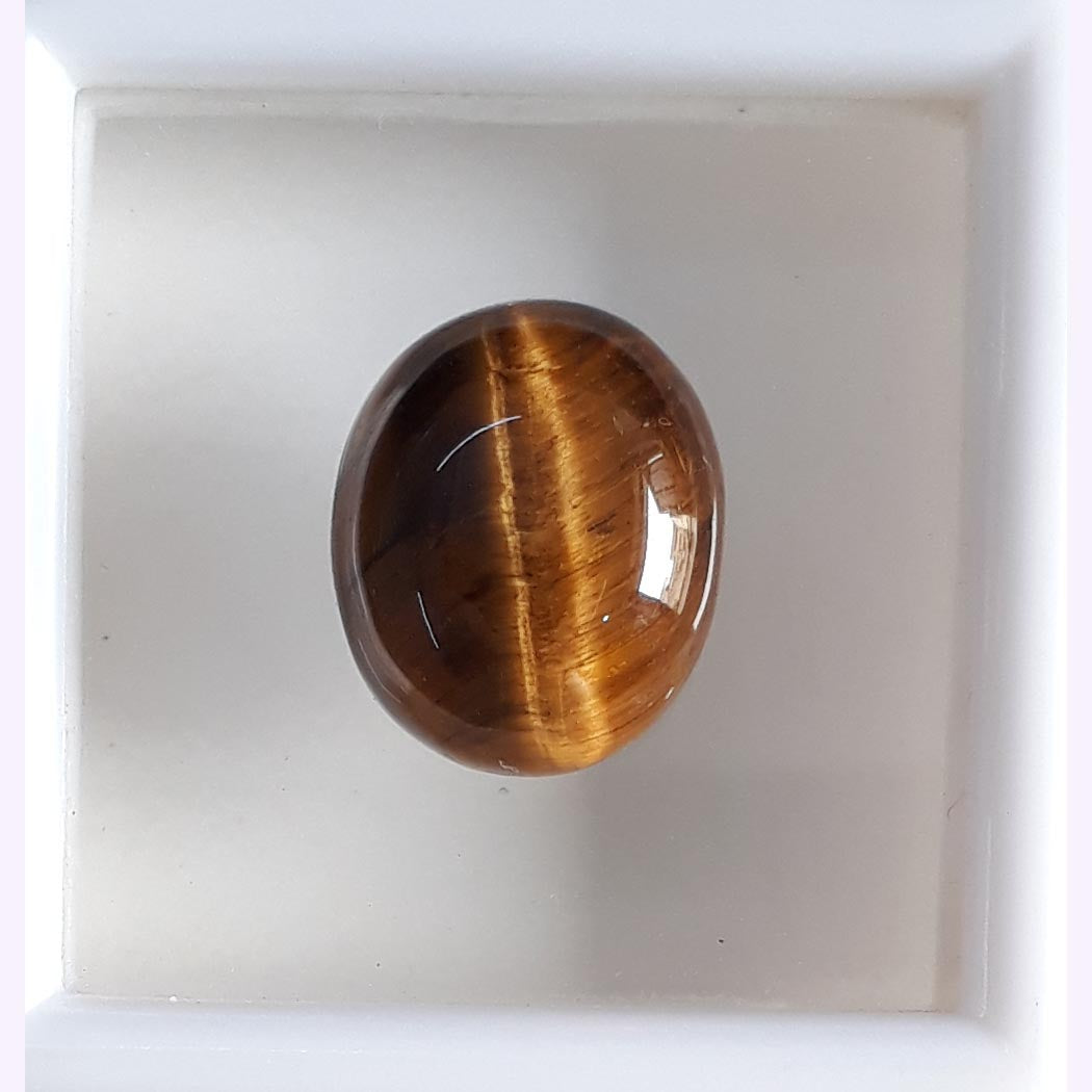 Tiger Eye-(350)