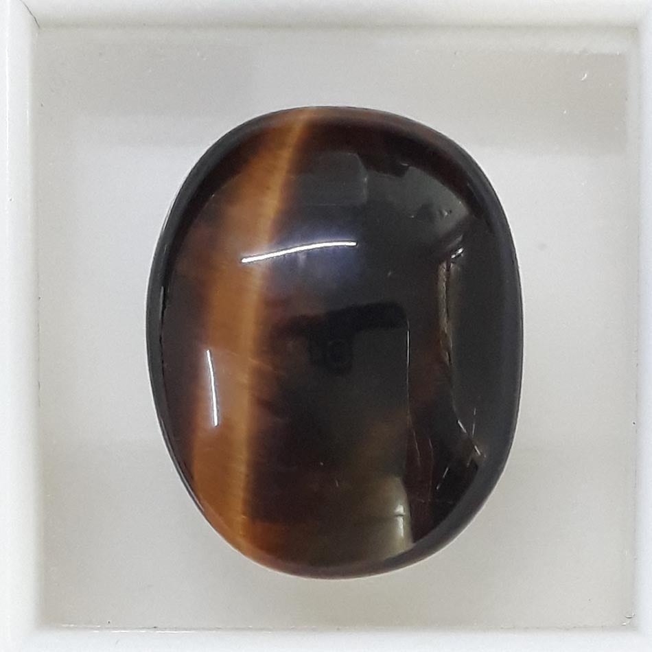 Tiger Eye-(350)