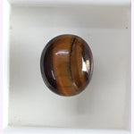 Load image into Gallery viewer, Tiger Eye-(350)
