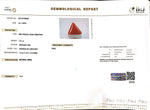 Load image into Gallery viewer, 7.01/CT Natural Triangular Red Coral-1800
