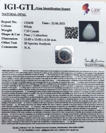 Load image into Gallery viewer, 7.33/CT Natural Opal with Govt. Lab Certificate-832
