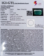 Load image into Gallery viewer, 5.71/CT Natural Emerald Stone With Govt. Lab Certified (8991)
