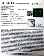 Load image into Gallery viewer, 8.47/CT Natural Panna Stone with Govt. Lab Certified (3441)
