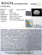 Load image into Gallery viewer, 13.06/CT Natural Fire Opal with Govt. Lab Certificate-4551
