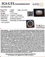 Load image into Gallery viewer, 11.77/CT Natural Opal with Govt. Lab Certificate-4551
