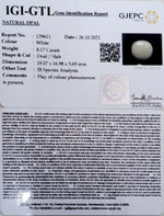 Load image into Gallery viewer, 8.17/CT Natural Fire Opal with Govt. Lab Certificate-2331
