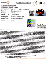 Load image into Gallery viewer, 4.76/CT Natural Govt. Lab Certified Ceylonese Gomed-(1221)
