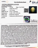 Load image into Gallery viewer, 7.62/CT Natural Prehnite cats eye with Govt. Lab certified-(1221)
