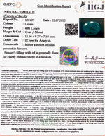 Load image into Gallery viewer, 4.81/CT Natural Panna Stone with Govt. Lab Certified-(6771)
