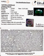 Load image into Gallery viewer, 9.24/CT Natural Panna Stone with Govt. Lab Certified (4551)
