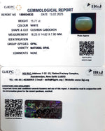 Load image into Gallery viewer, 15.71/CT Natural Fire Opal with Govt. Lab Certificate-4551
