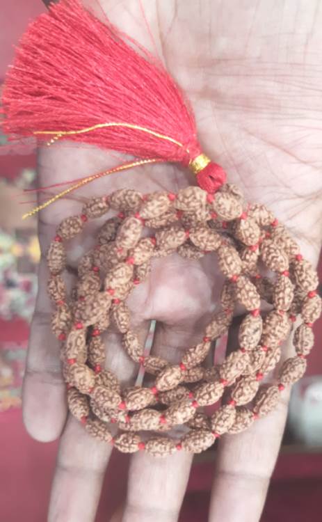 TWO MUKHI RUDRAKSHA MALA (3400)