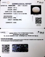 Load image into Gallery viewer, 4.81/CT Natural Opal with Govt. Lab Certificate (832)
