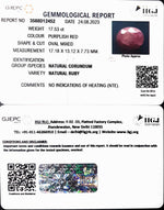 Load image into Gallery viewer, 17.53/CT Natural Indian Ruby with Govt. Lab Certificate (1221)
