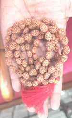 Load image into Gallery viewer, THREE MUKHI RUDRAKSHA MALA (3400)
