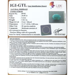 Load image into Gallery viewer, 3.34/CT Natural Panna Stone with Govt. Lab Certificate (6771)
