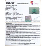 Load image into Gallery viewer, 3.69/CT Natural Panna Stone with Govt. Lab Certificate -(6771)
