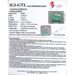 Load image into Gallery viewer, 2.70/CT Natural Panna Stone with Govt. Lab Certificate (6771)
