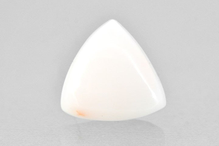 7.99/CT Natural White Triangle Coral-1500