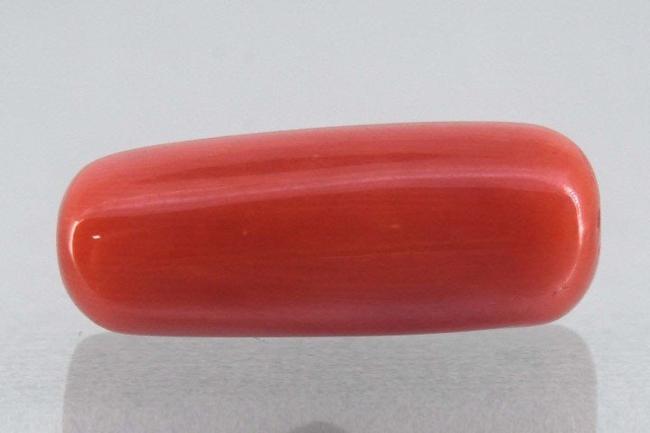 7.76/Carat Natural Cylindrical Red Coral-1800